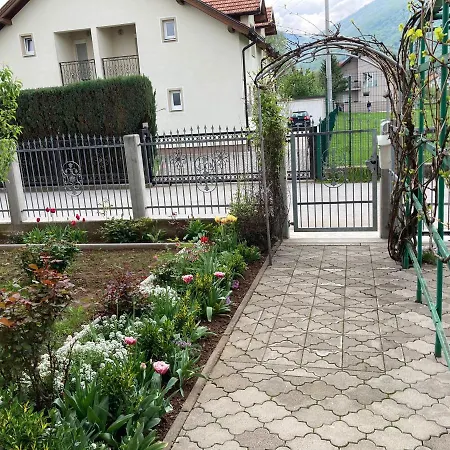 Magnolija * Sarajewo